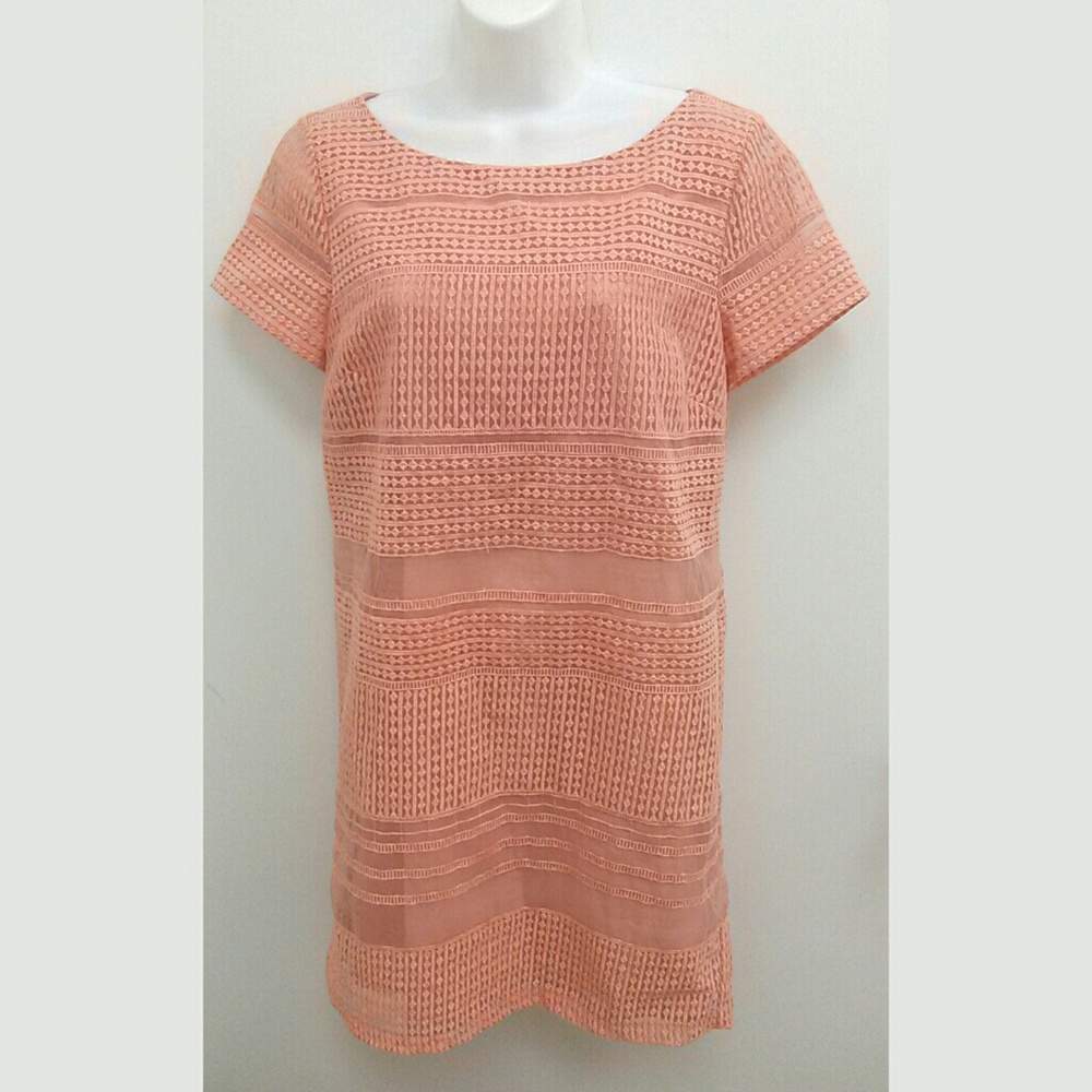Ann Taylor Peach Short Sleeve Dress Textured Sz 6 Spring